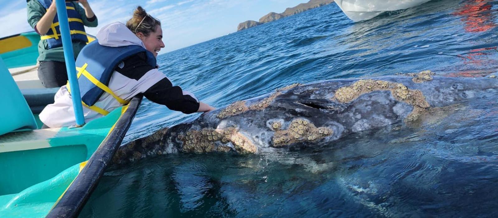 Hotel- Whale Tours And Sport Fishing Vista Mag-Bay Puerto San Carlos Zimmer foto